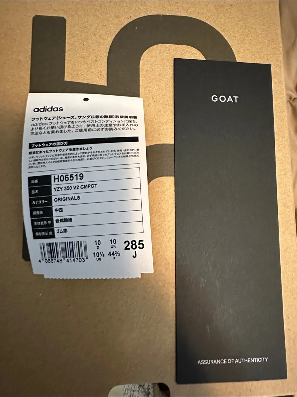 adidas Yeezy Boost 350 V2 CMPCT Slate Bone— Light Grey with Cream Sole